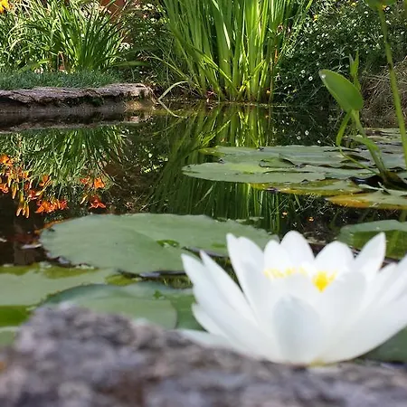 Country house Lalisea